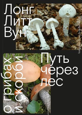 A Path Through the Forest. Of Mushrooms and Grief