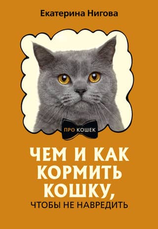 What and how to feed a cat so as not to harm it
