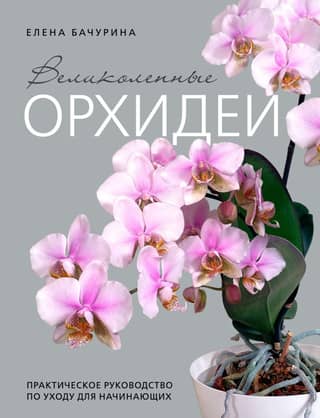 Magnificent Orchids: A Practical Care Guide for Beginners