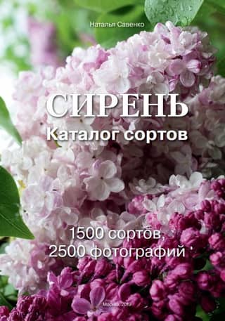Lilac. Catalog of varieties