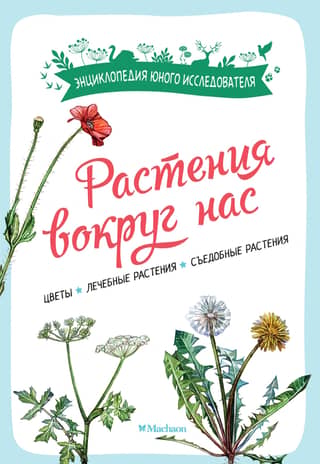 Plants around us. Flowers. Medicinal plants. Edible plants.