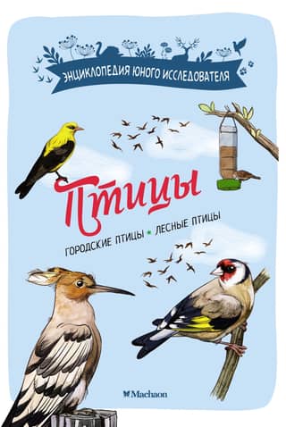 Birds. City birds. Forest birds.