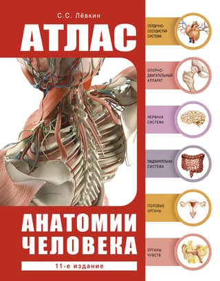 Atlas of Human Anatomy