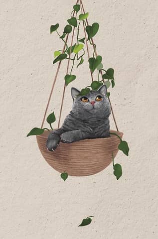 Postcard. Cat in a hanging pot.