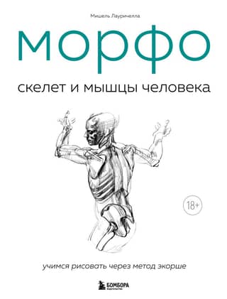 Morpho. Human skeleton and muscles