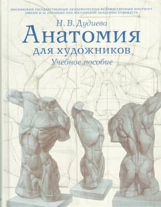 Anatomy for Artists: A Study Guide