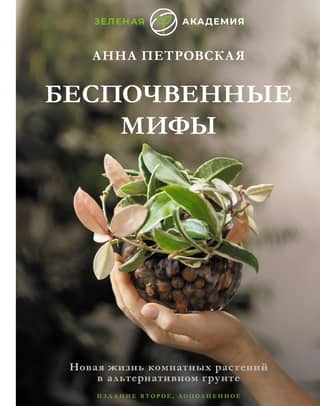 Groundless Myths: Giving Houseplants a New Life in Alternative Soil