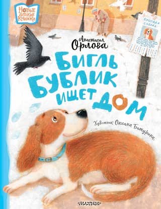 Beagle Bublik is looking for a home