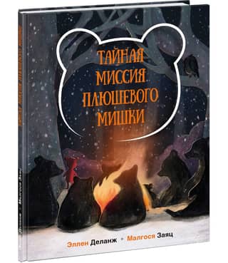 Teddy Bear's Secret Mission