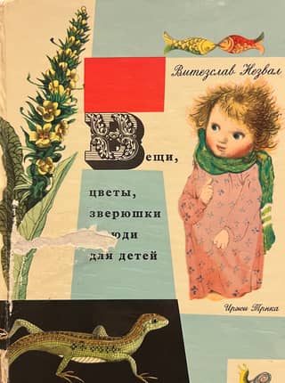 Things, flowers, animals and people for children