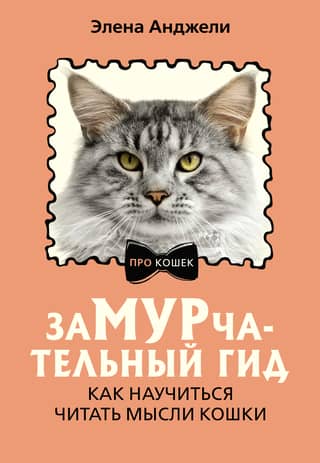 A Purr-fect Guide: How to Read Your Cat's Mind