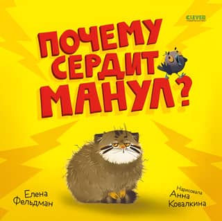 Why is the Pallas's cat angry?