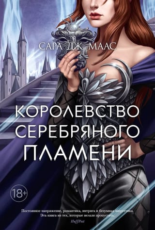 Королевство шипов и роз. Книга 5. Королевство серебряного пламени