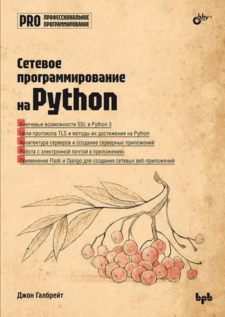 Профессиональное программирование. Сетевое программирование на Python
