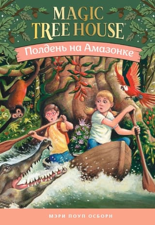 Полдень на Амазонке