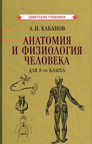 Анатомия и физиология человека для 8-го класса