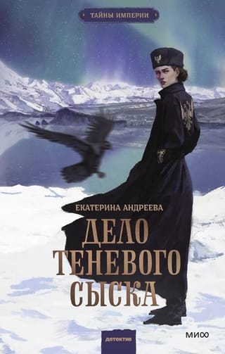 Дело теневого сыска