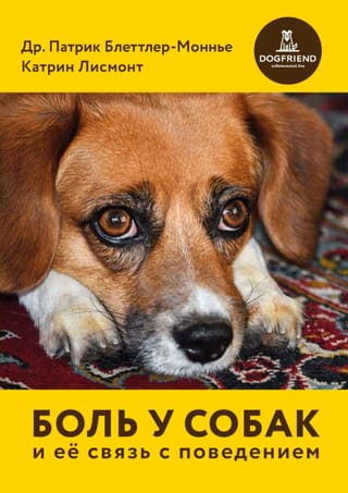 Боль у собак и ее связь с поведением
