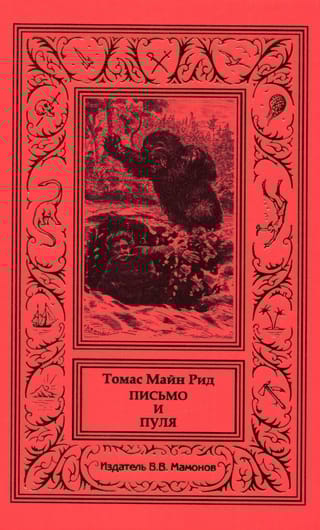 Письмо и пуля