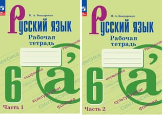 Русский язык 6 класс. Рабочая тетрадь. В 2 частях