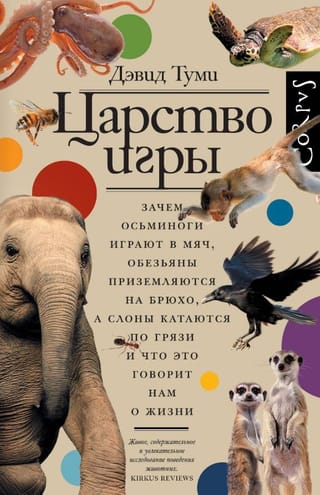 Царство игры