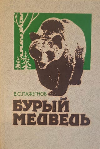 Бурый медведь