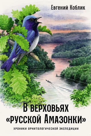 В верховьях «русской Амазонки»: Хроники орнитологической экспедиции
