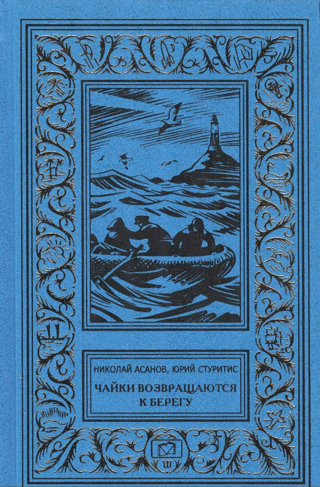 Чайки возвращаются к берегу