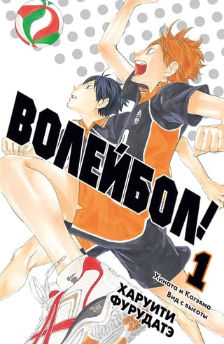 Волейбол! Книга 1. Хината и Кагэяма. Вид с высоты