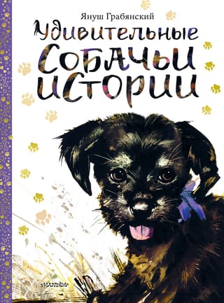 Удивительные собачьи истории