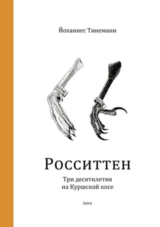 Росситтен. Три десятилетия на Куршской косе