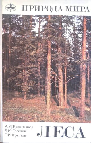 Природа мира. Леса