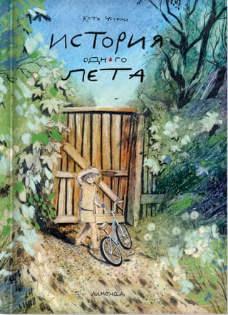 История одного лета