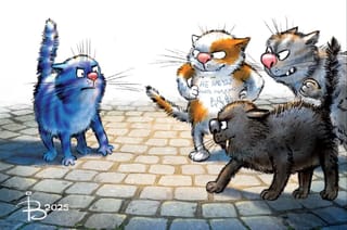 Открытка. Синие коты. Уличная мафия