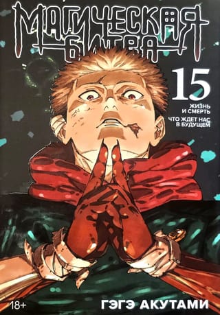 Магическая битва. Книга 15. Жизнь и смерть. Что ждет нас в будущем