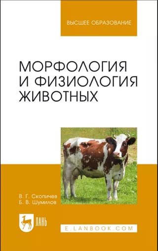 Морфология и физиология животных