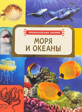 Моря и Океаны
