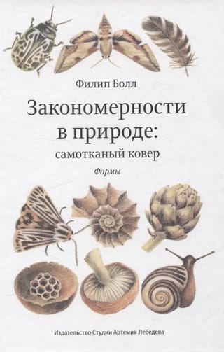 Закономерности в природе: самотканный ковер. В 3 частях. Часть 1. Формы