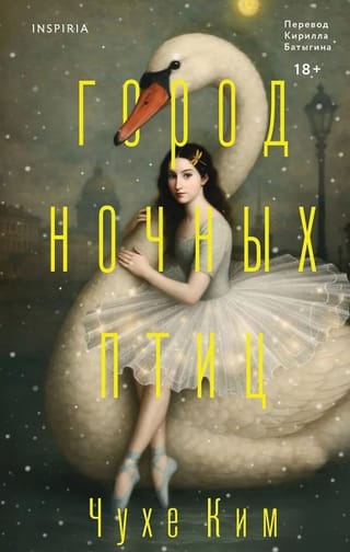 Город ночных птиц