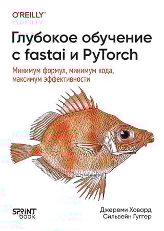 Глубокое обучение с fastai и PyTorch. Минимум формул, минимум кода, максимум эффективности