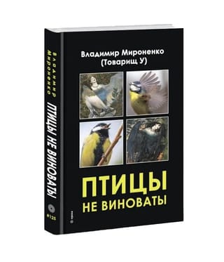 Птицы не виноваты