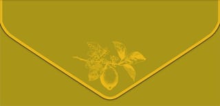 Конверт для денег. Лимон на веточке