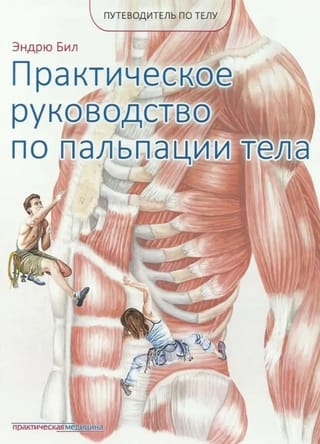 Путеводитель по телу. Практическое руководство по пальпации тела
