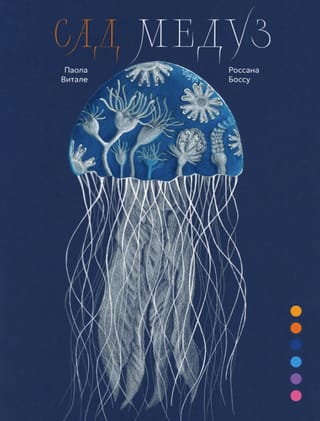 Сад медуз