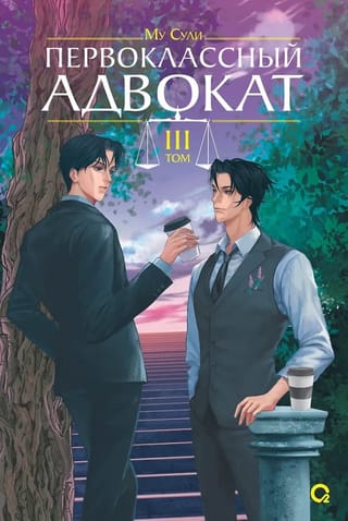 Первоклассный адвокат. Том 3