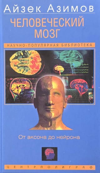 Человеческий мозг. От аксона до нейрона