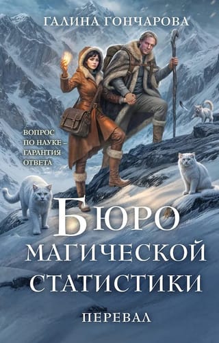 Бюро магической статистики. Перевал