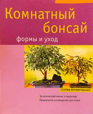 Комнатный бонсай. Формы и уход