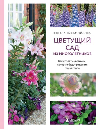 Цветущий сад из многолетников. Как создать цветники, которые будут радовать год за годом