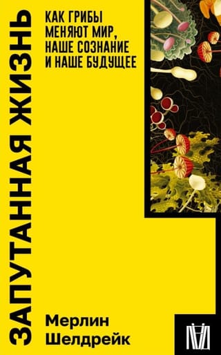 Запутанная жизнь. Как грибы меняют мир, наше сознание и наше будущее